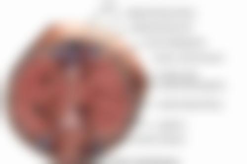 北京中诺口腔医院怎么乘地铁去?别愁,答案来了,让你轻松直达看牙!