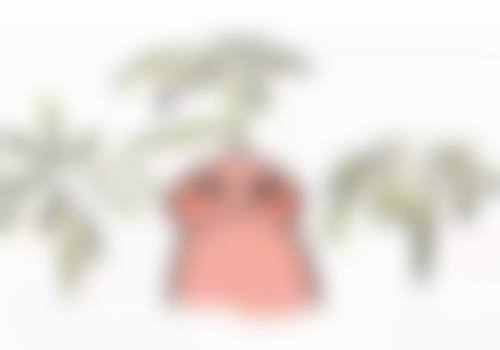 成都新桥口腔医院值得信赖吗？正规资质经验丰富医生坐诊，值得大家放心选择 