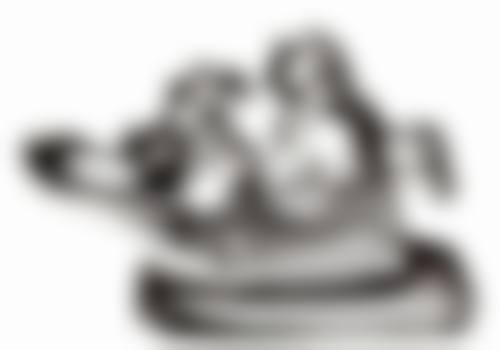 北京维乐口腔医生团队