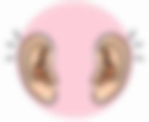 上海鼎植口腔门诊部的医生团队实力