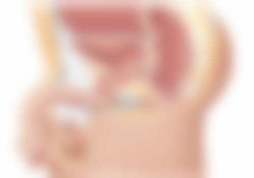 总结：四川内江医大口腔医院性价比极高