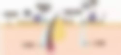 南充医大口腔门诊部:患者评价,口碑良好