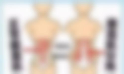 达州医大口腔医院收费标准咋样?价格合理,项目丰富,能满足不同口腔医美需求!