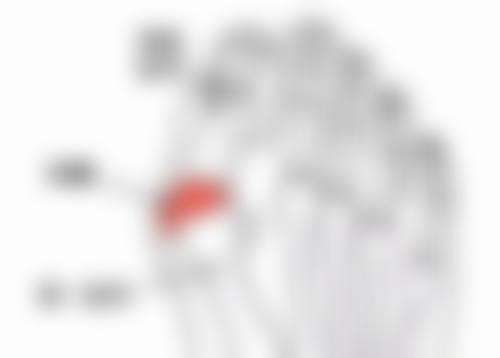 广州高尚医学美容中 心余文林医生的收费标准