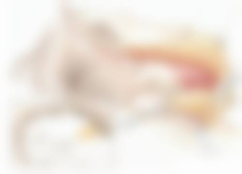 天津海德堡口腔医院是公立的吗?其实它是私立口腔医院,技术靠谱还能提供个性化医美服务