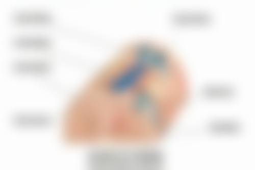 北京科尔口腔门诊部评价口碑怎么样？顾客反馈服务佳技术好，口碑属实不错值得一去