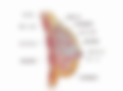 北京海德堡口腔医院收费标准咋样？性价比高不高？一文给你讲清楚！ 