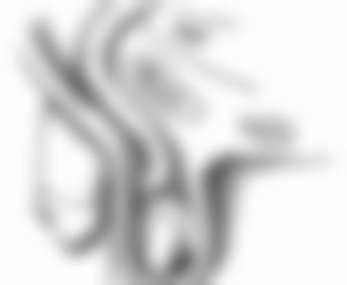 上海伯思立整形:性价比与服务质量揭秘