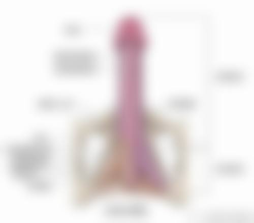 上海伯思立整形:安心可靠的男科私密整形选择