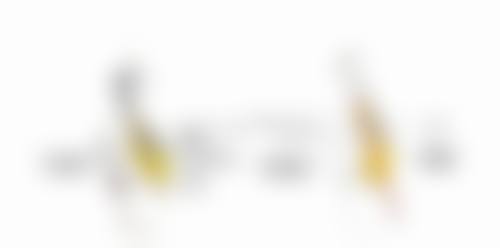 顾客在广州高尚医学美容中 心的口腔治疗体验分享