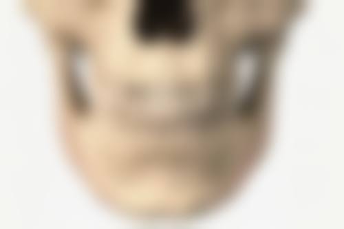 沈阳北方整形医院其他热门项目价格及特色