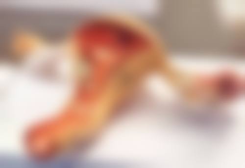 上海颜净医疗美容收费标准大揭秘！涵盖常见医美项目，价格合理超划算 