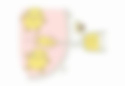 上海愉悦薇莱医疗美容医院:收费价格表与真实口碑反馈