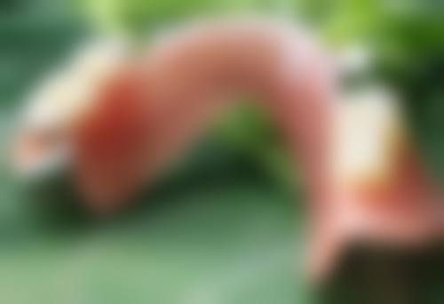 盐城大丰维多利亚医疗美容门诊部口碑评价好不好？顾客反馈服务贴心，项目体验感不错值得一试