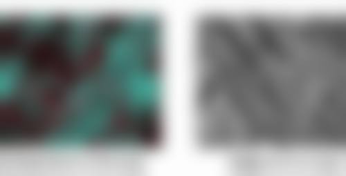 上海愉悦薇莱医疗美容医院陈红梅医生相关项目价格参考