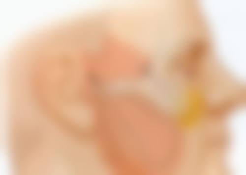 上海铂诗玥医疗美容诊所：热门项目，应有尽有