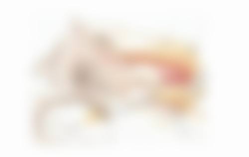 昆明德韩口腔医院：医生团队经验多，技术不错