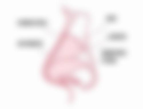 上饶尚美整形医疗美容医院热门项目价格表