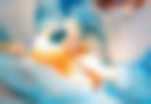 南京康美医疗美容医院何美珍和秦琴谁厉害？答案揭晓