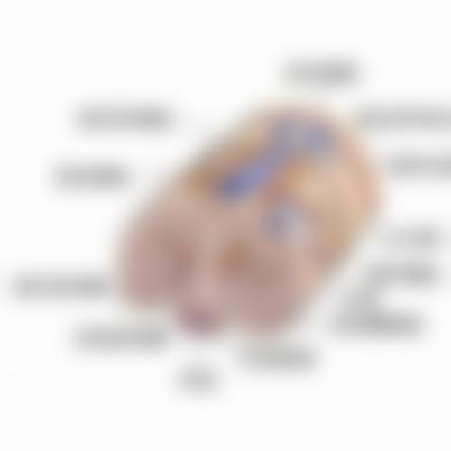 杭州西湖口腔医院：私立中高端口腔专科医院，优势显著