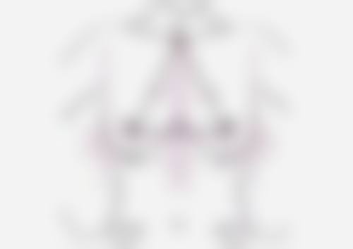 杭州艺星口腔医院总结:私立口腔的优质之选