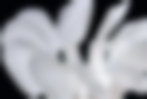 成都九龙医院私密整形科诊疗项目及价格