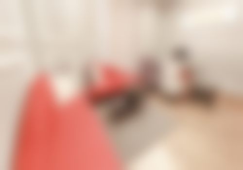 特色项目及技术优势