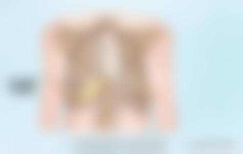 龙始恩医生坐诊医院