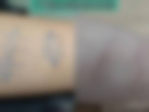 国有老牌机构的保护