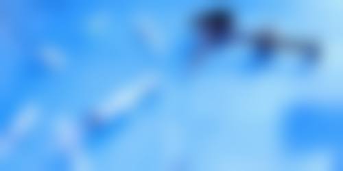 芜湖伊莱美整形美容医院擅长项目