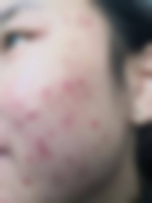 真人口碑评价怎么样