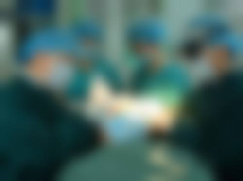 特色项目及技术优势