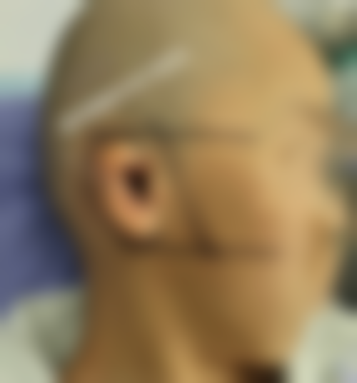 特色项目及技术优势