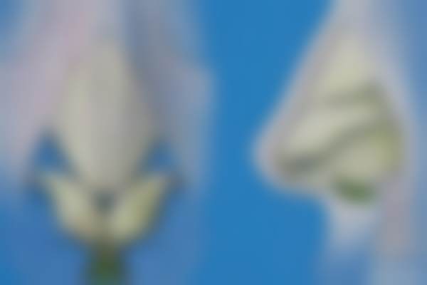 台州艾丝贝医疗美容门诊部简介