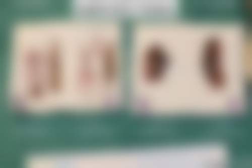 青岛刘晋胜医疗美容预约挂号指南