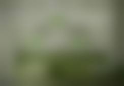 郑州乐医肤格医疗美容诊所