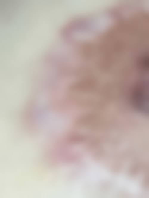 贾茉医生价格表