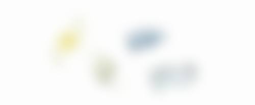 李挺医生擅长的私密整形项目