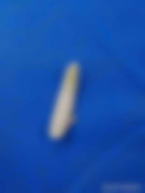 邓娟娟医生坐诊医院