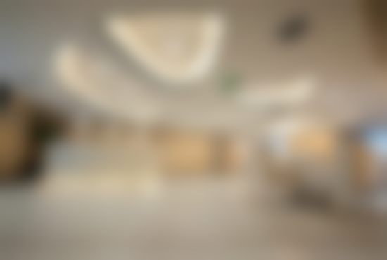 杨凌云医生的具有影响力认证与专精头衔