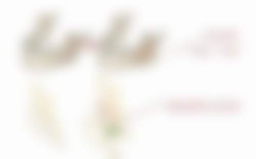 天津申伊童颜医疗美容诊所