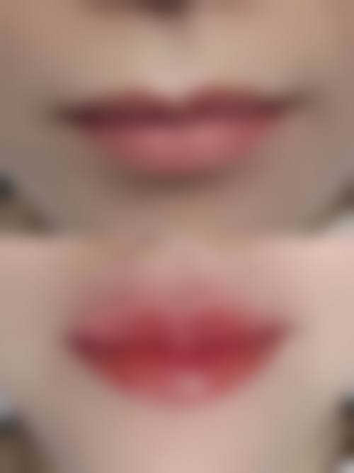 四川内江百龄京菊整形简介概述