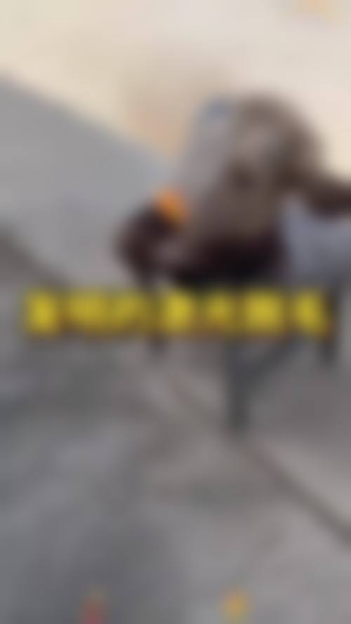 郑州青春源整形美容门诊部预约挂号指南