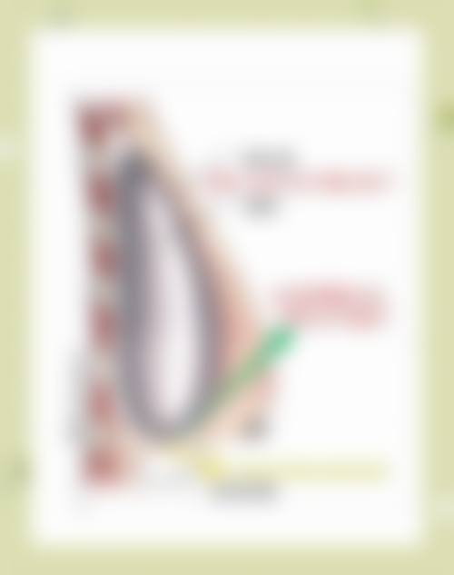 八、就诊预约挂号指南