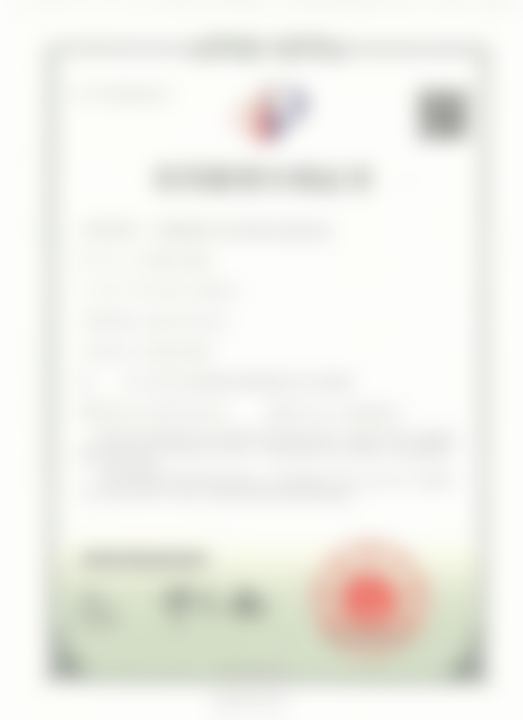 六、成功实例展示