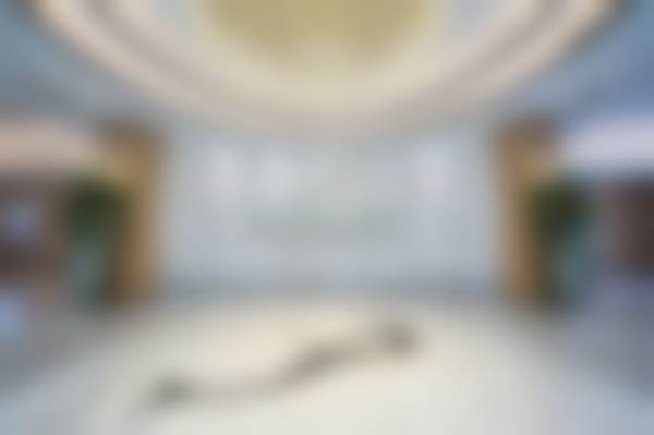 周浩医生执医荣誉