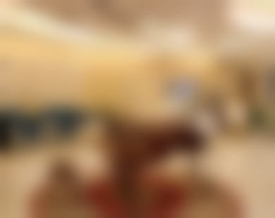 林建新医生擅长项目