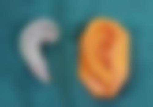 佛山市第一人民医院(整形美容二科)医生情况