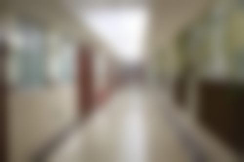 罗奇医生服务价格表