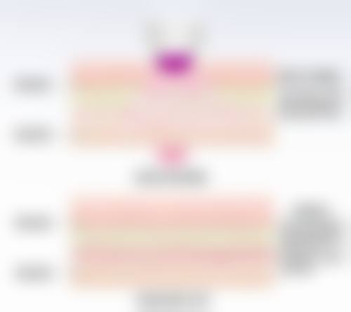 高雪莹坐诊医院信息